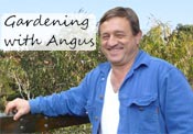 Gardening with Angus Stewart