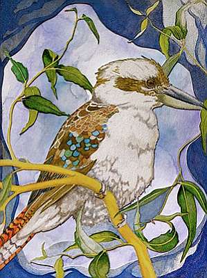 Kookaburra Fine Art Prints