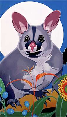 Brushtail Possum Fine Art Prints